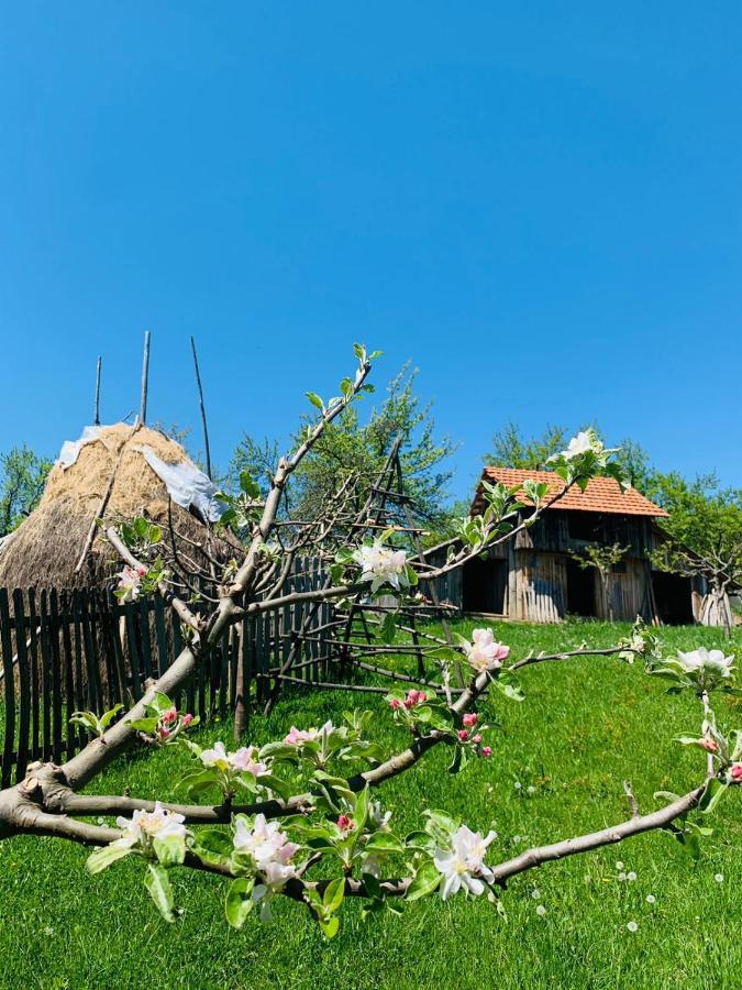 Hotel The Story Garden Corbi Exterior foto
